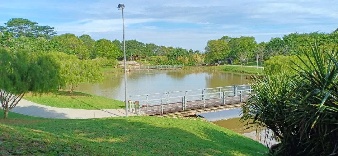 Adda Heights Town Park — foto sebenar 3