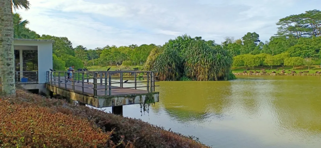 Adda Heights Town Park — foto sebenar 4