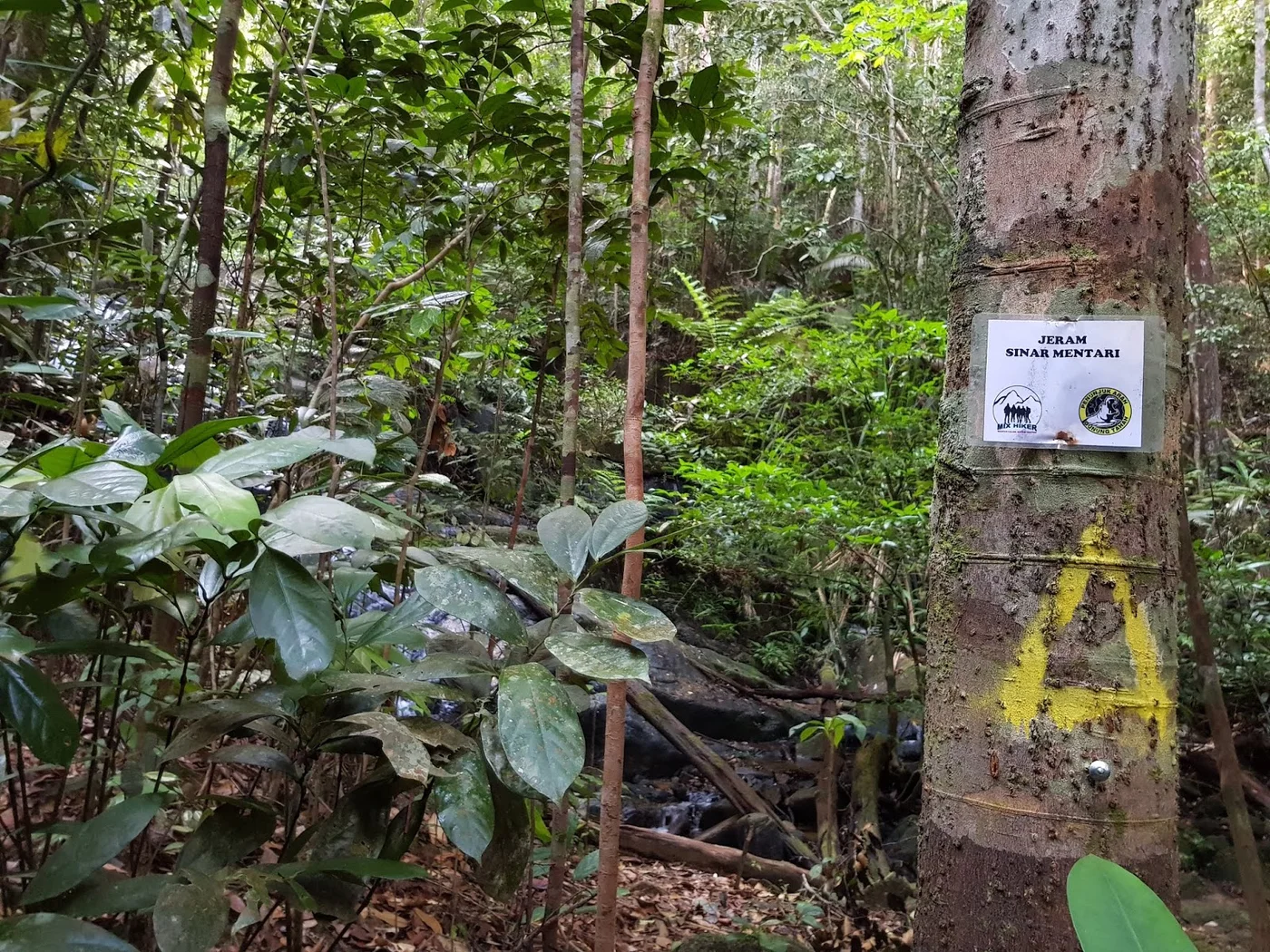 Air Terjun Tengkil — foto sebenar berbeza 2