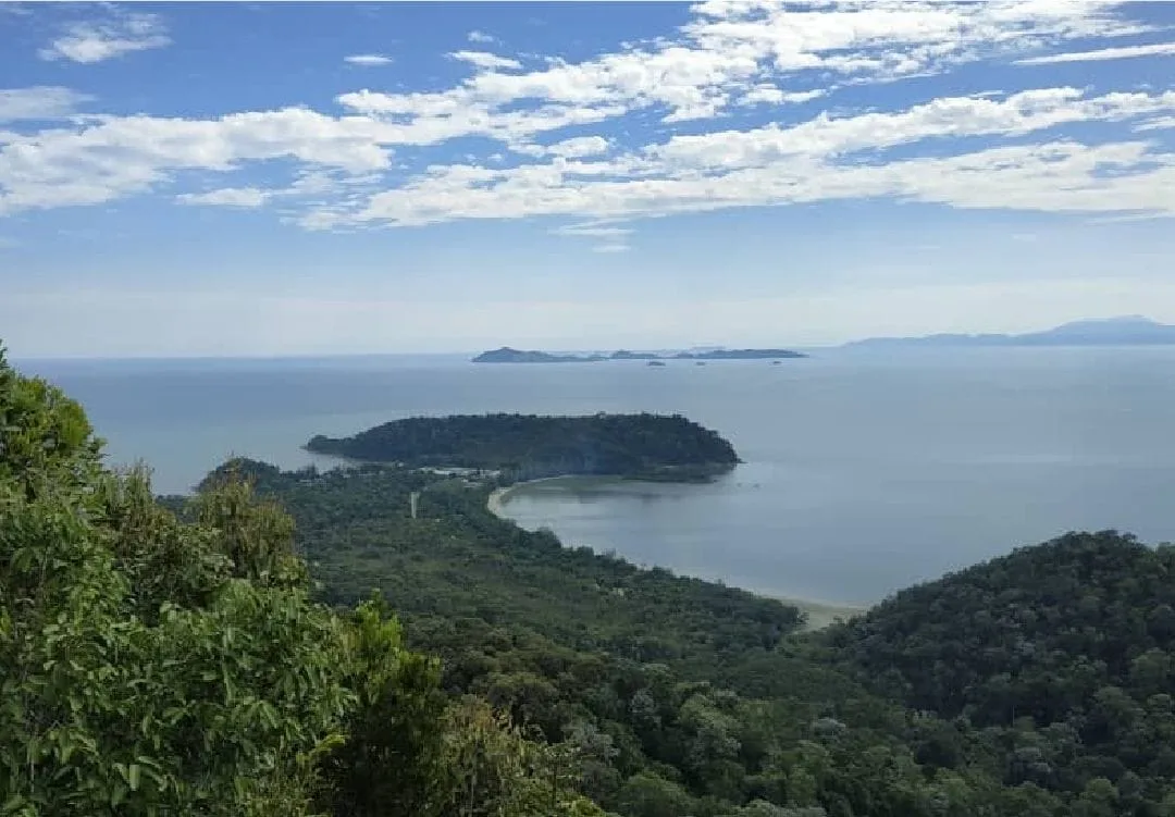 Arong Mountain Forest Eco Park — foto sebenar 3