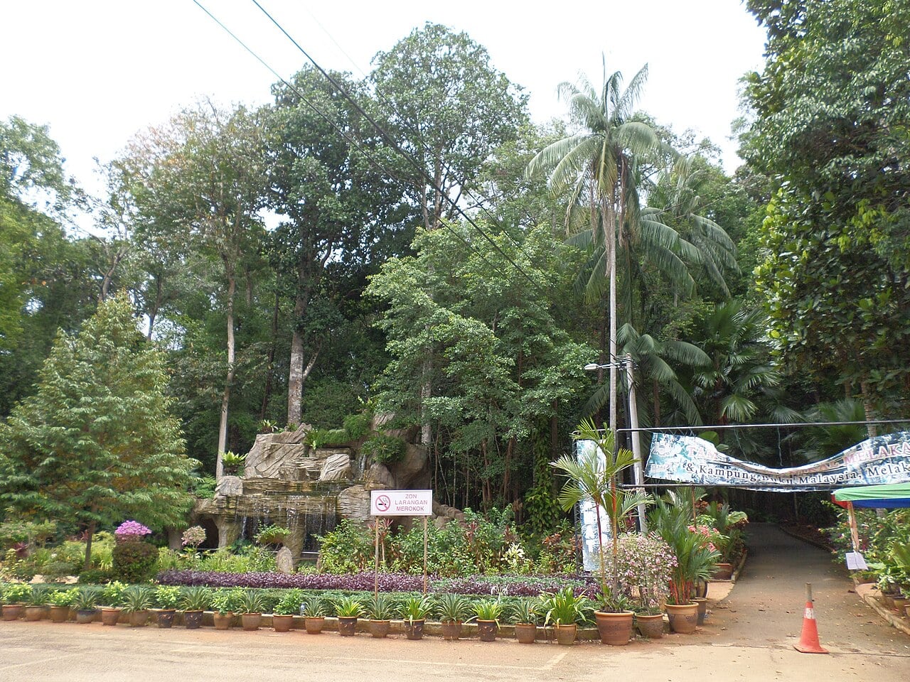 Gambar Ayer Keroh Recreational Forest