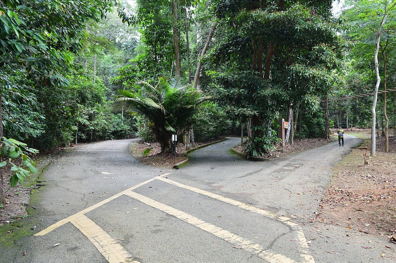 Gambar 3 Ayer Keroh Recreational Forest