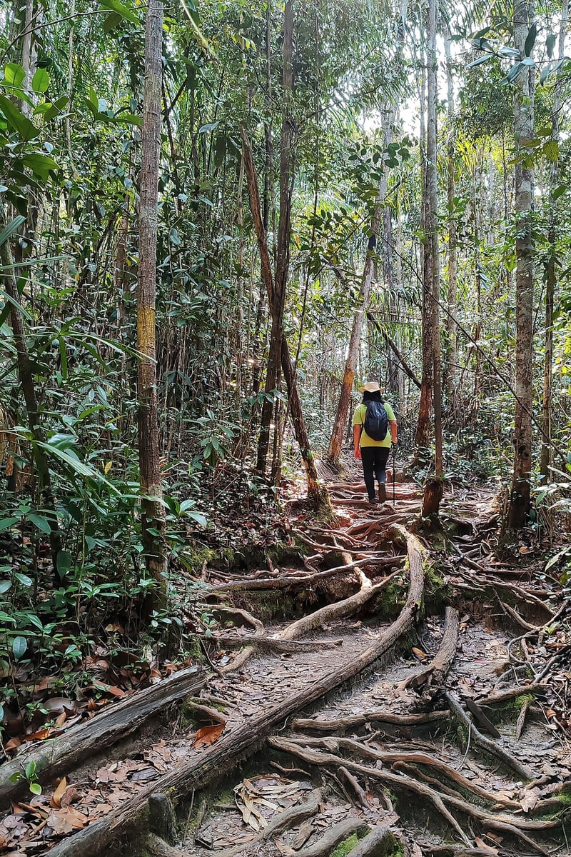 Gambar 3 Bako National Park