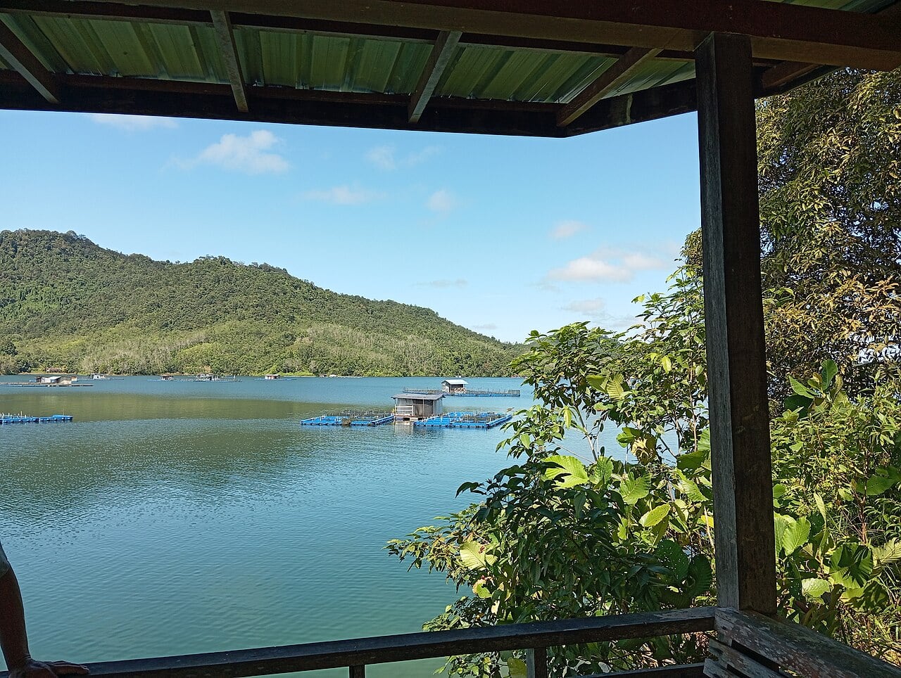Gambar Batang Ai National Park