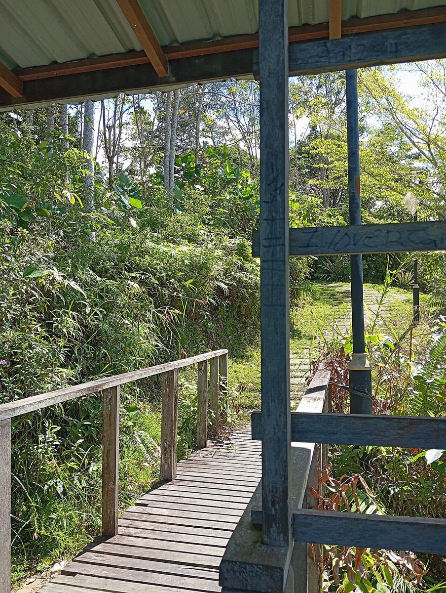 Gambar 3 Batang Ai National Park