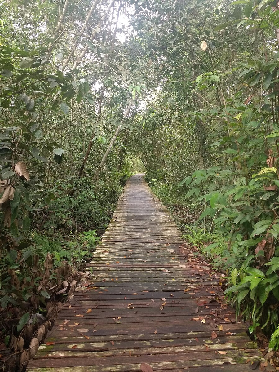 Gambar 3 Bukit Lima Nature Reserve