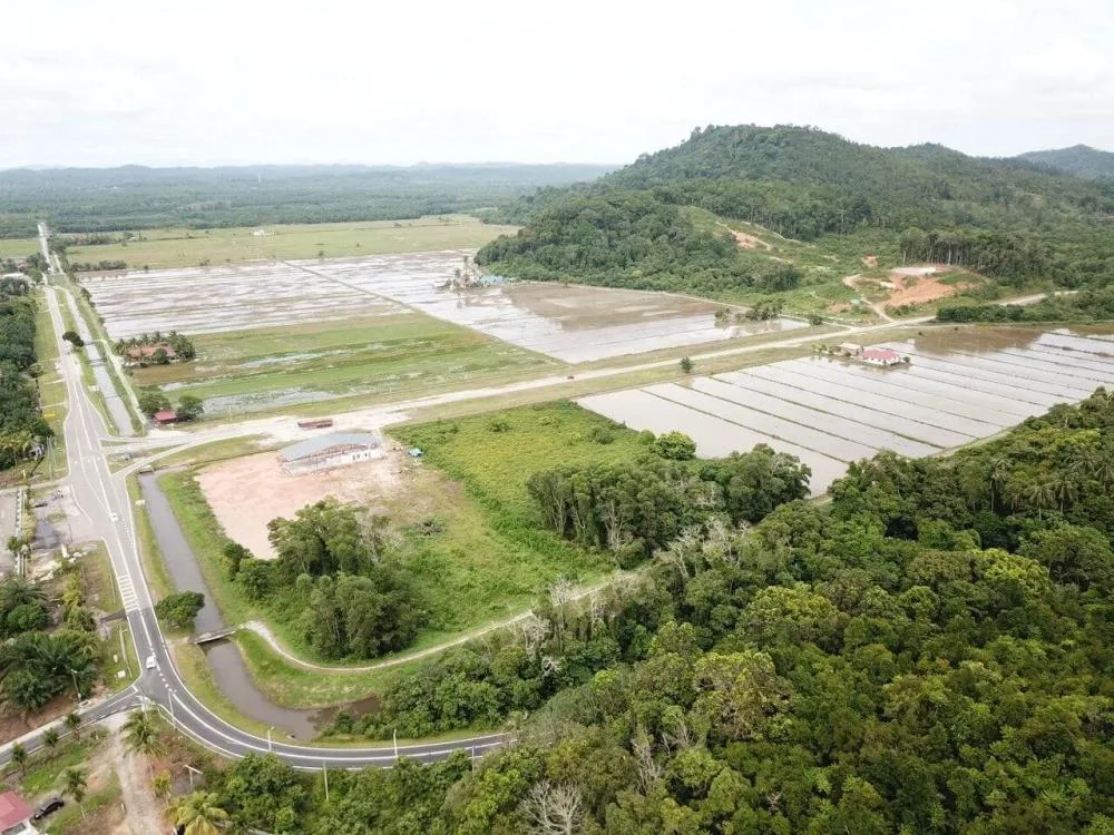 Camper Site Bukit Selantai — foto sebenar 4