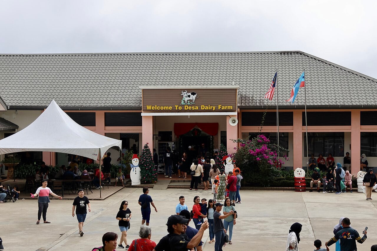 Gambar Desa Cattle Dairy Farm