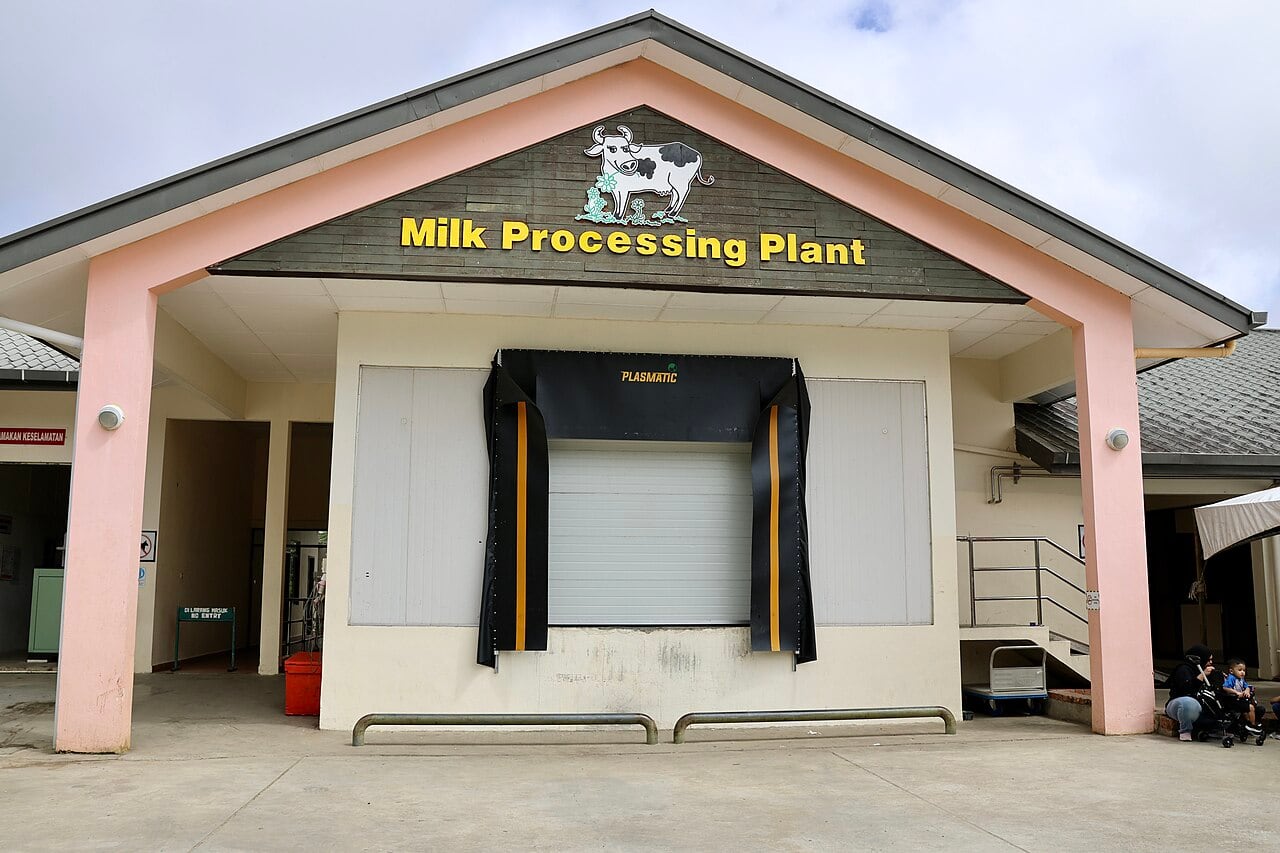 Gambar 2 Desa Cattle Dairy Farm
