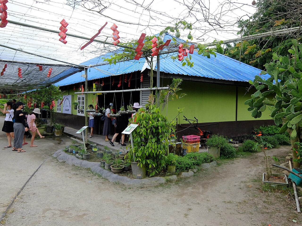 Gambar 3 Desaru Fruit Farm