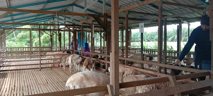 D’Impian Agro Farm — foto sebenar 4