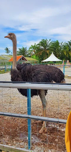 D’Impian Agro Farm — foto sebenar 7