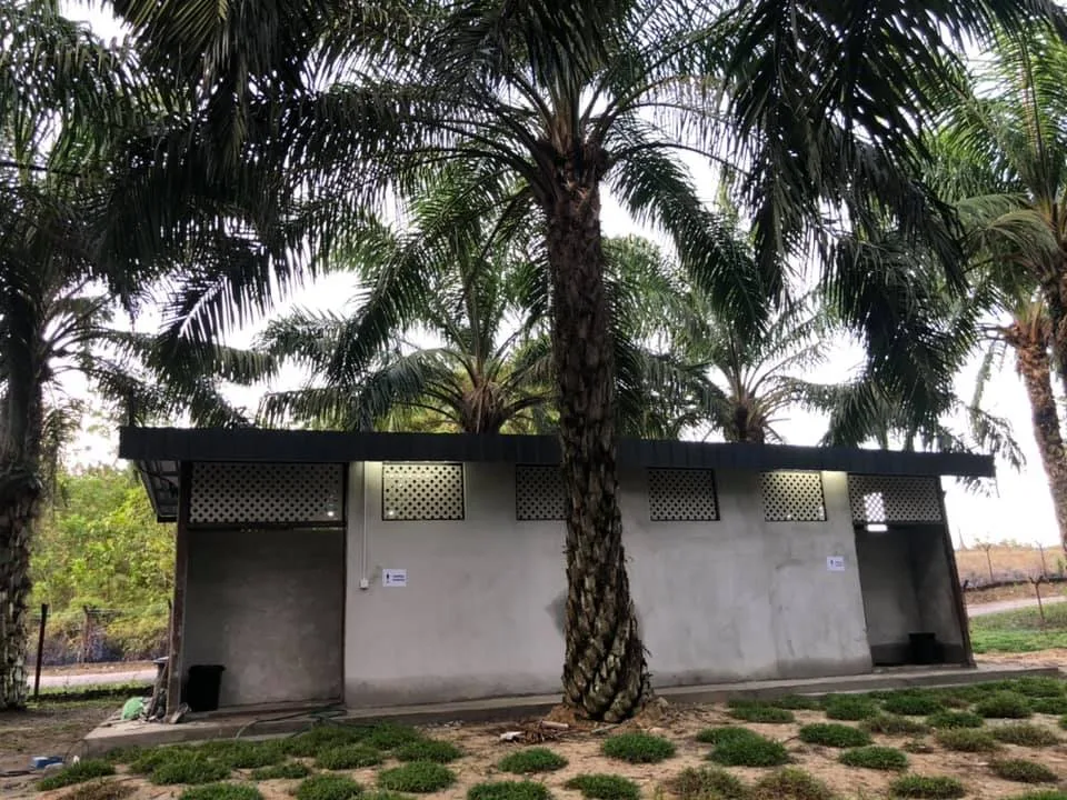 El-Dhuha Campsite — foto sebenar 4