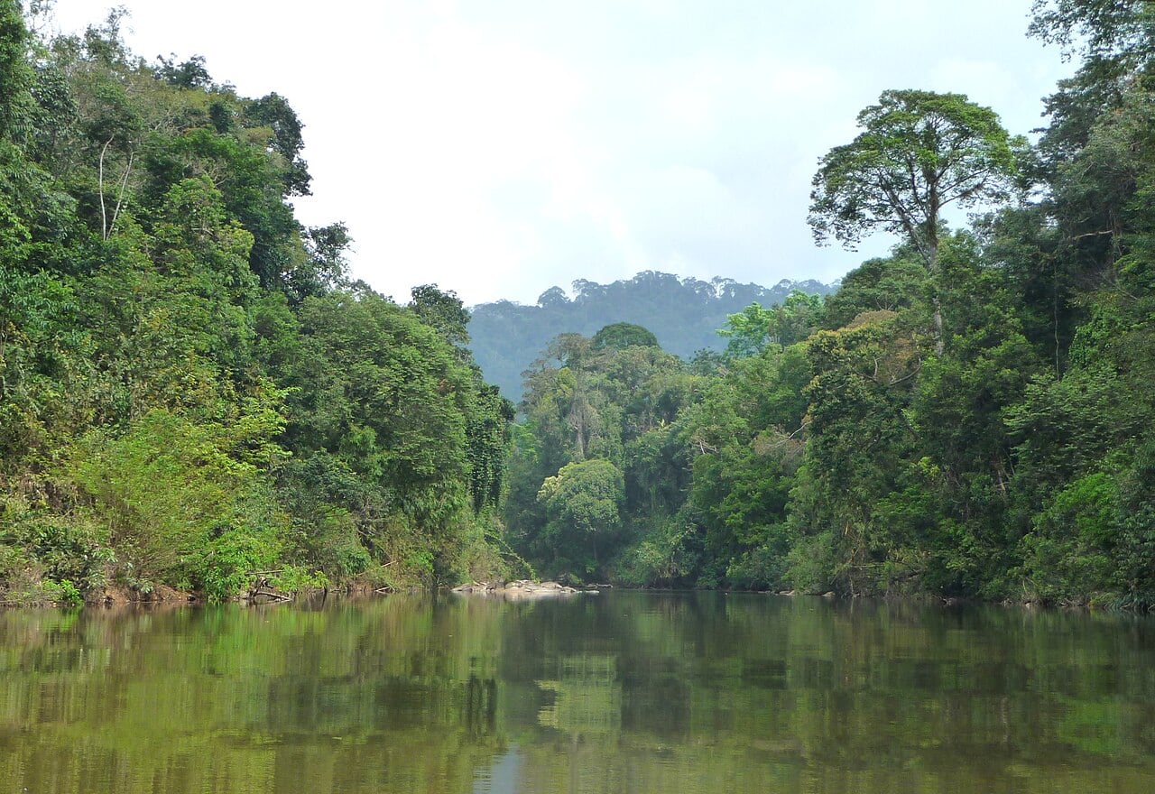 Gambar Endau-Rompin / Rompin State Park Pahang Access