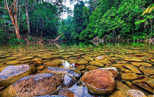 Endau Rompin Peta Johor National Park — foto sebenar 2