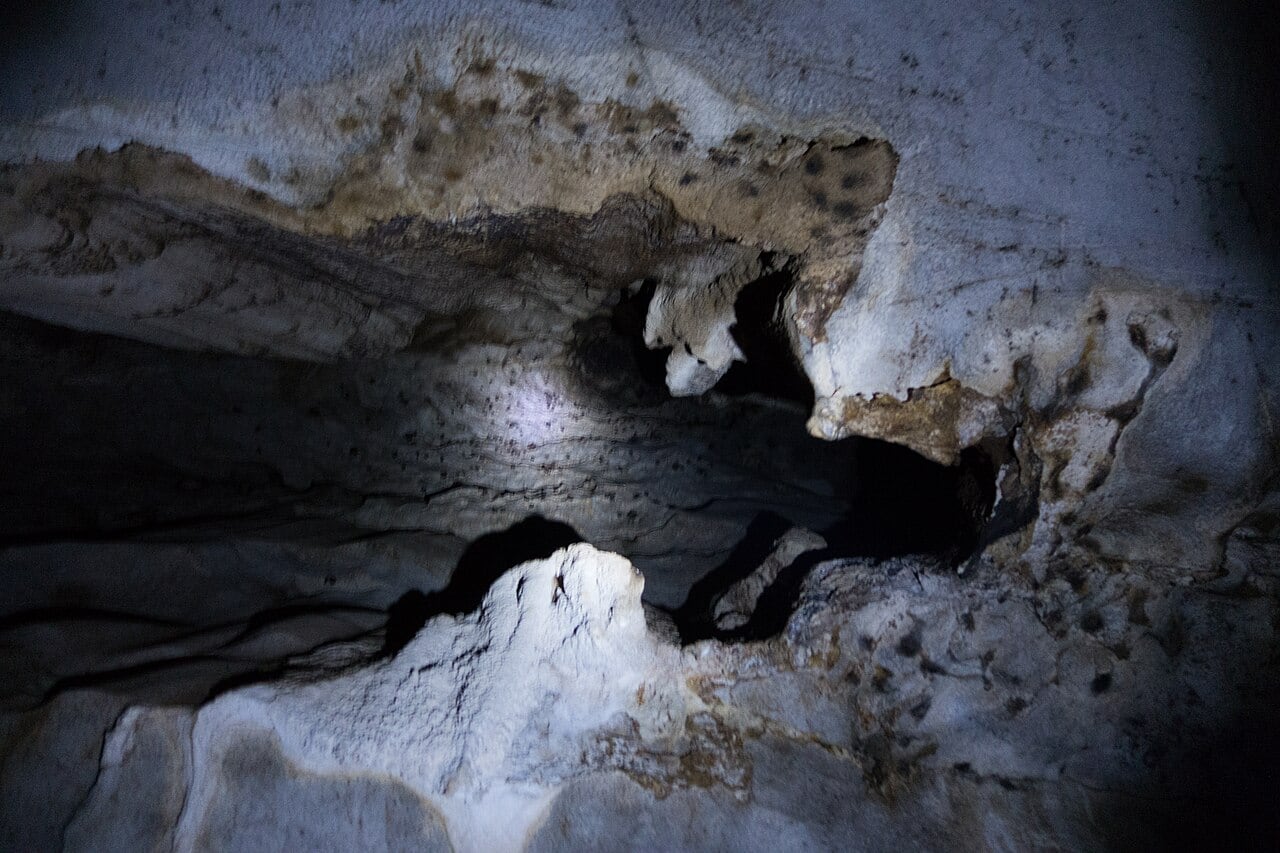 Gambar 3 Fairy Cave and Wind Cave Nature Reserve