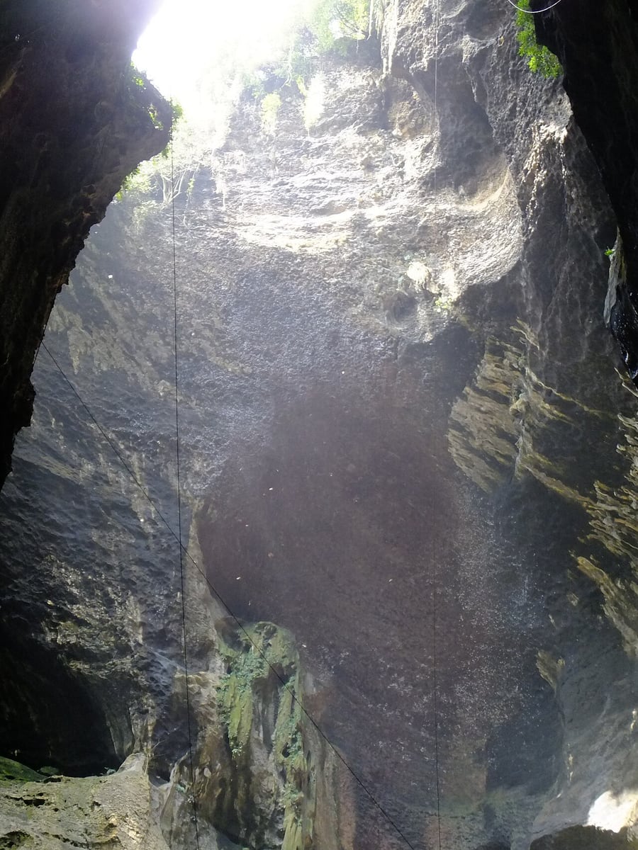 Gambar Gomantong Cave