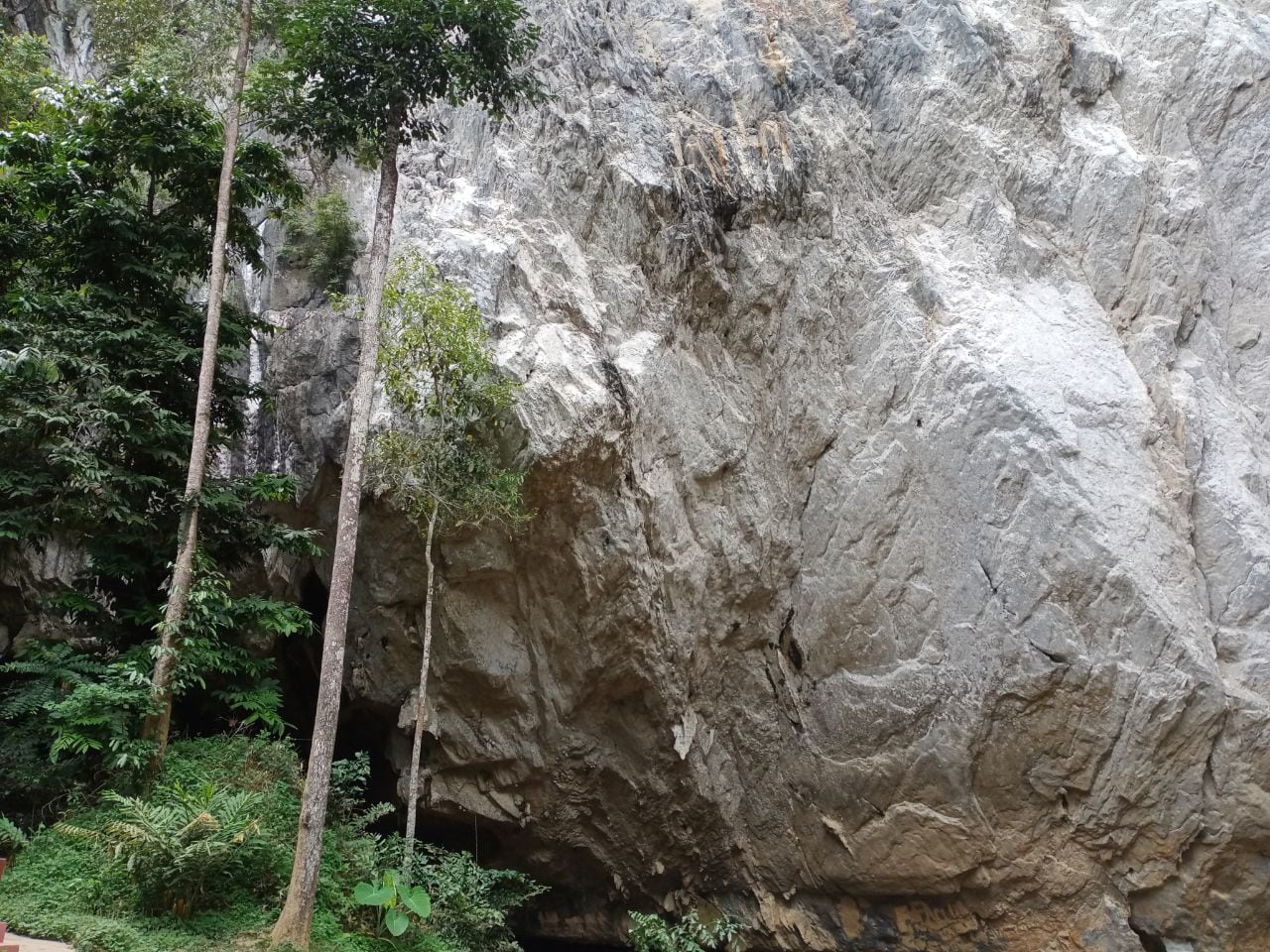Gambar Gua Ikan and Gua Gelap Dabong