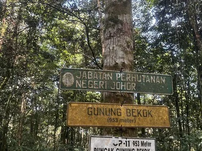 Gunung Bekok — foto sebenar berbeza 4