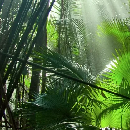 Gunung Janing — foto sebenar 2 (crop)