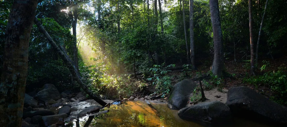 Gunung Ledang Lagenda (Waterfall) — foto sebenar 4