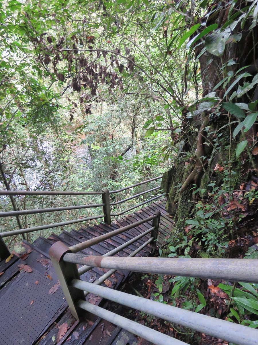 Gambar Gunung Mulu National Park