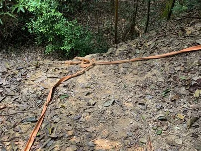 Gunung Muntahak — foto sebenar berbeza 3