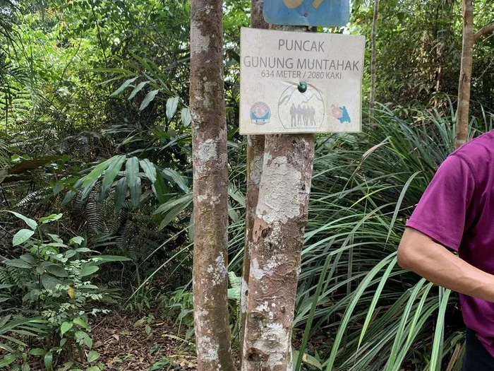 Gunung Muntahak — foto sebenar berbeza 4
