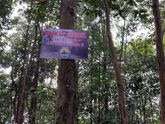 Gunung Muntahak — foto sebenar berbeza 5
