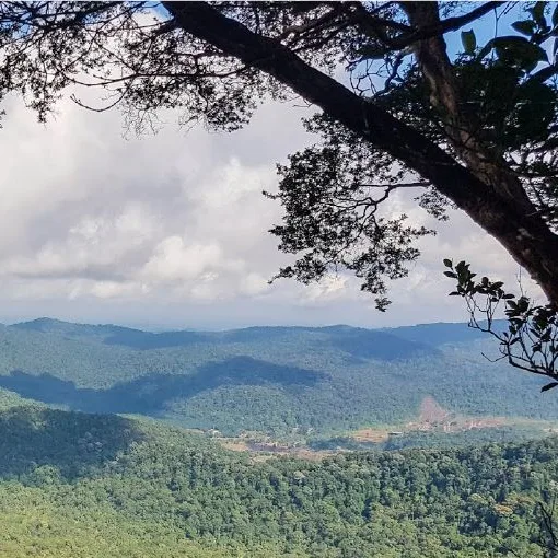 Gambar Gunung Panti