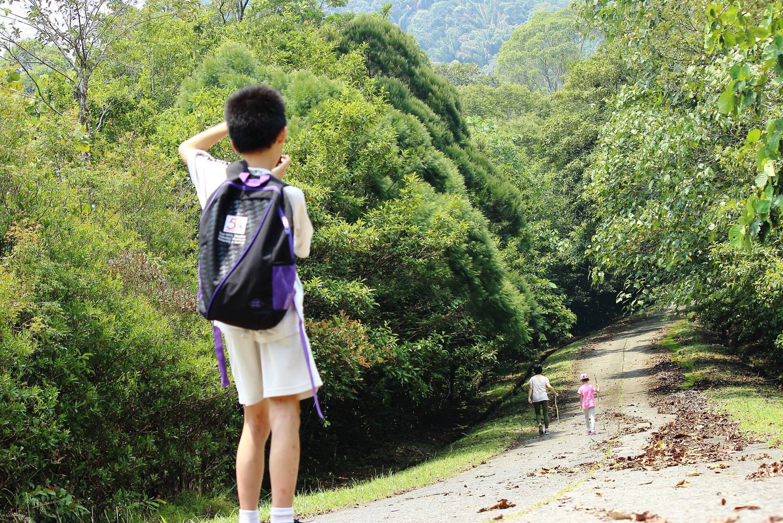 Gambar 2 Gunung Serapi Summit Trail