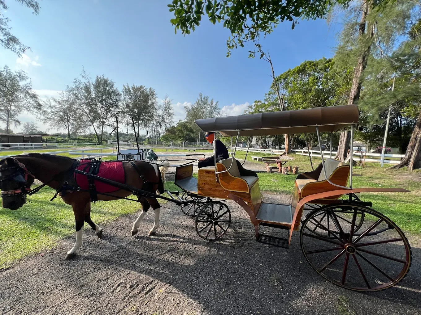 JDT Horse Carriage — foto sebenar 3