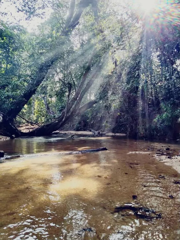 Gambar Kahang Adventures & Eco Camp