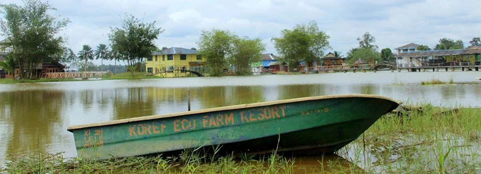 Kahang Organic Rice Eco Farm — foto sebenar berbeza 3