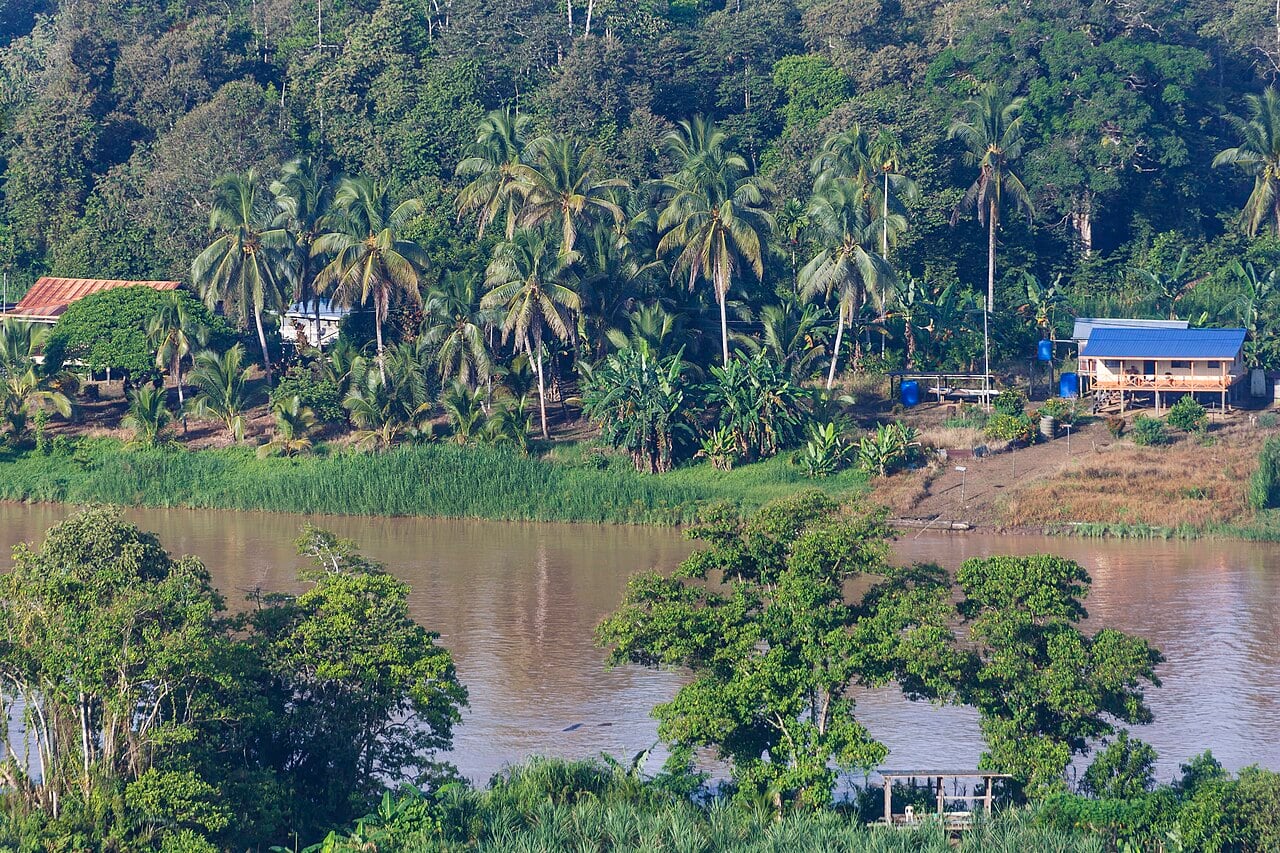 Gambar 2 Kinabatangan Wildlife Sanctuary