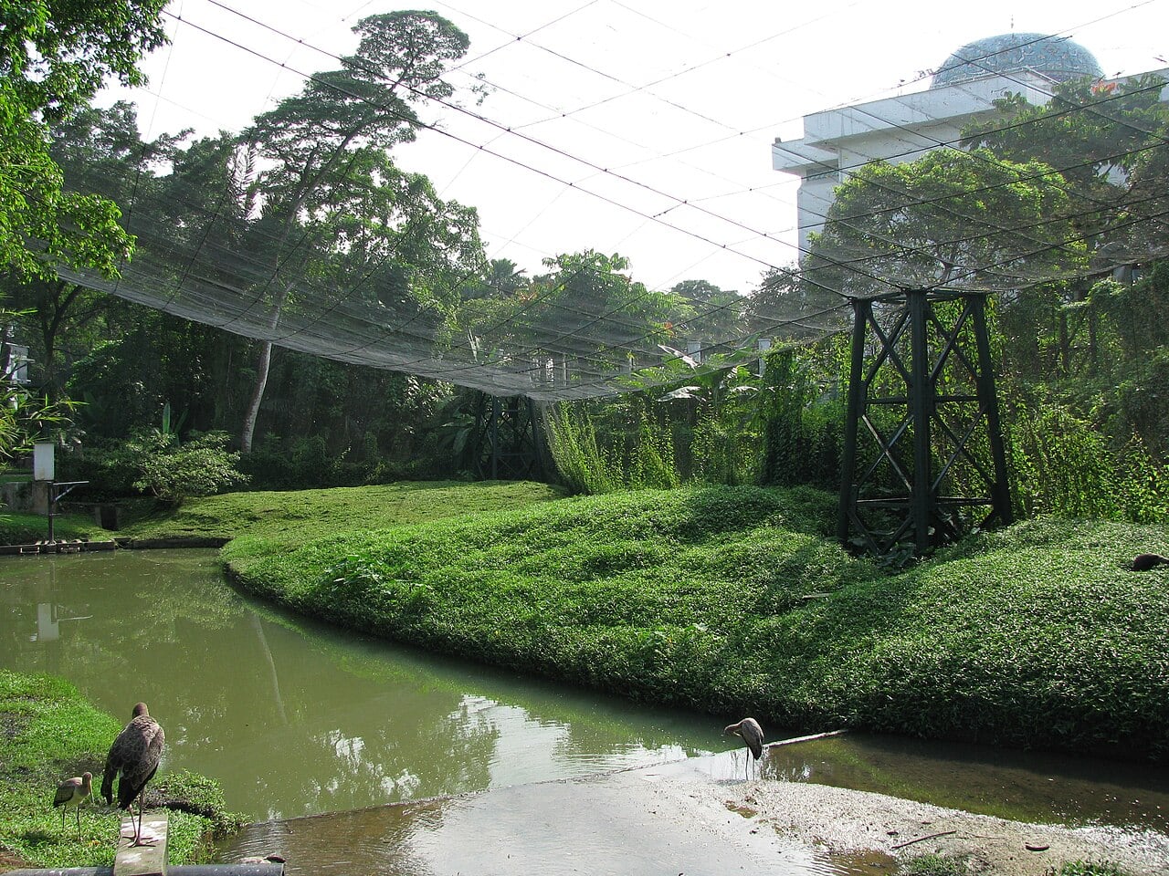 Gambar 3 Kuala Lumpur Bird Park