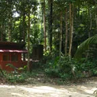 Gambar Kuala Marong Campsite