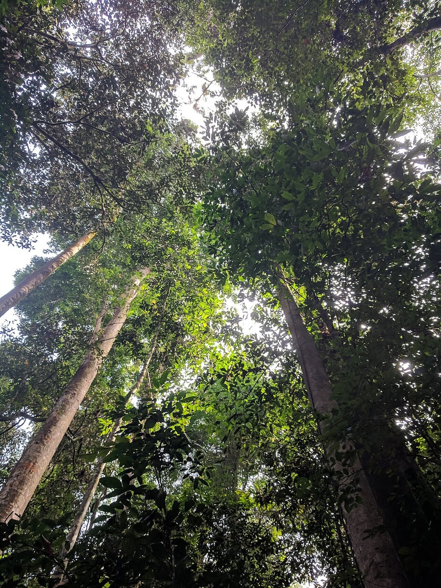 Gambar 2 Kubah National Park