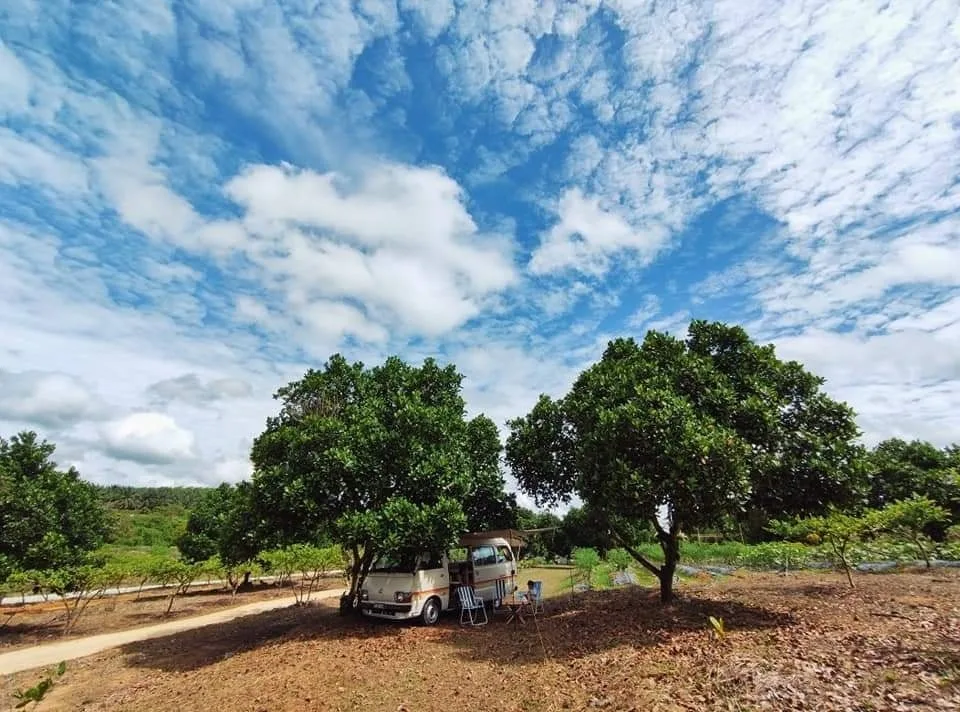 Labis Sunrise Farm — foto sebenar 7