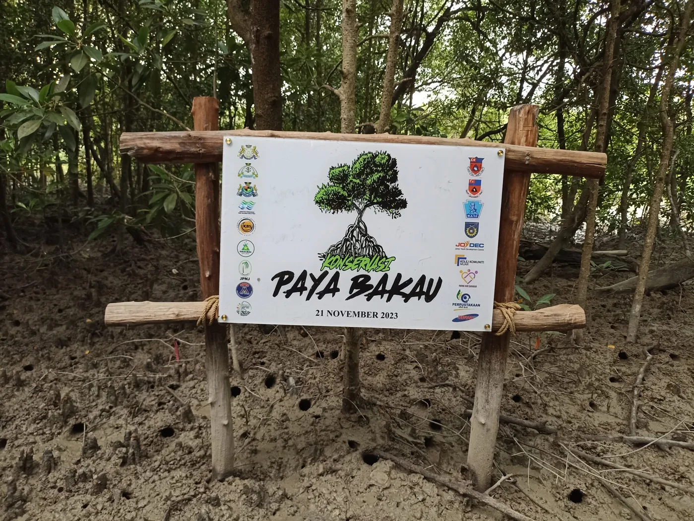 Laman Bakau Parit Kassim — foto sebenar 2