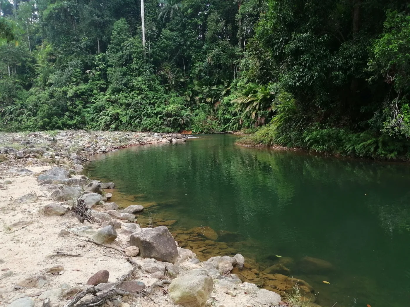 Lubuk Merekek, Taman Negara Endau-Rompin — foto sebenar 2