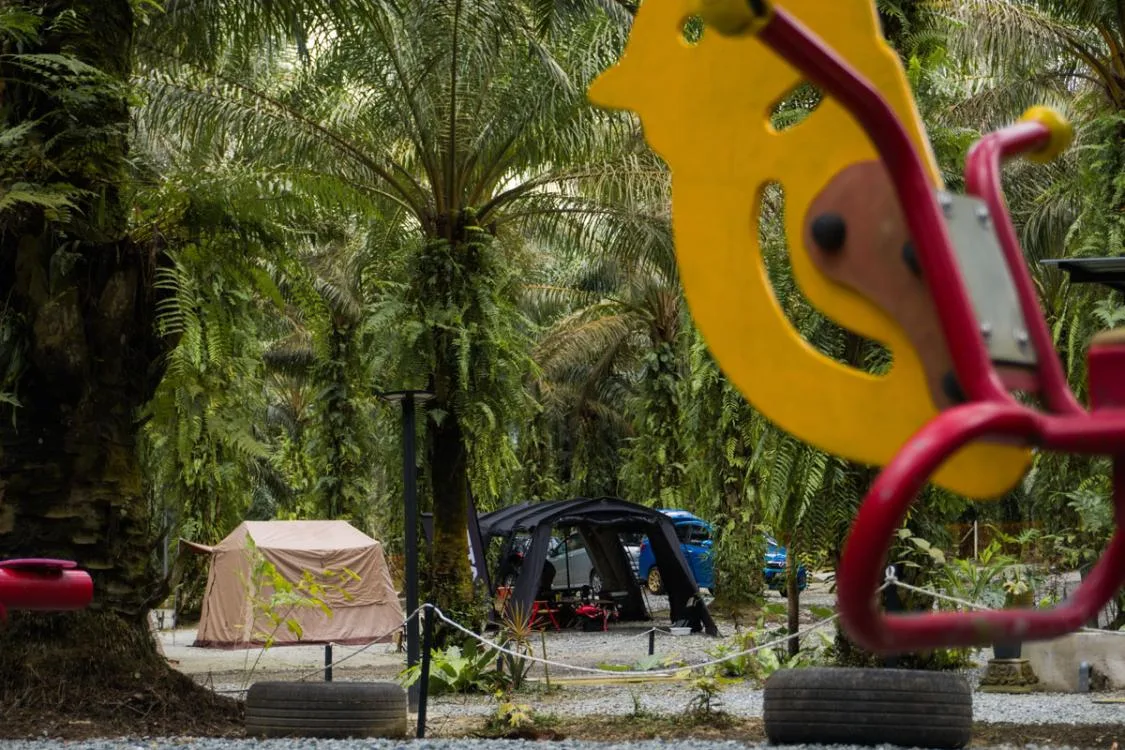 Made In The Wild — foto sebenar 5