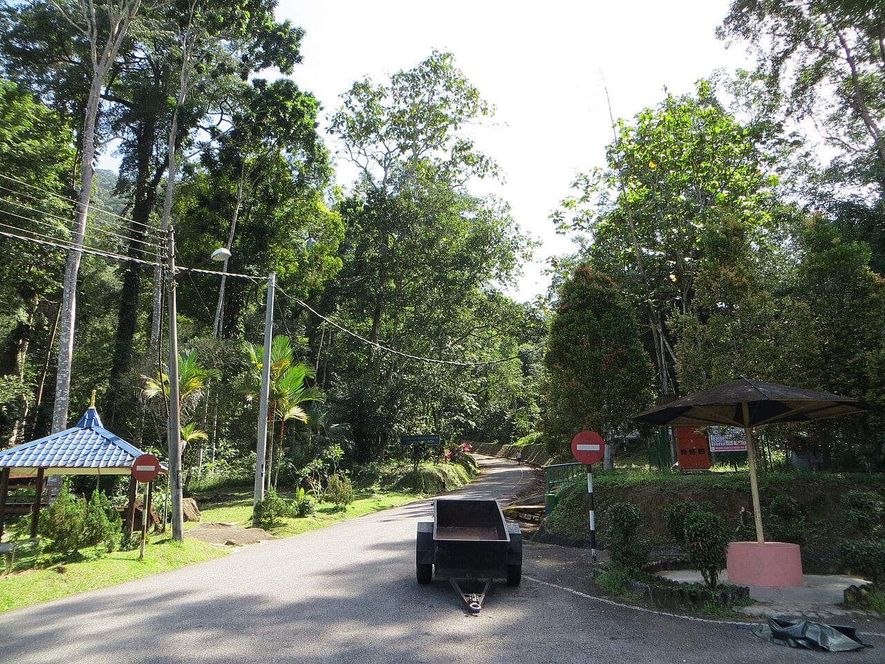 Gambar 2 Maxwell Basecamp Taiping