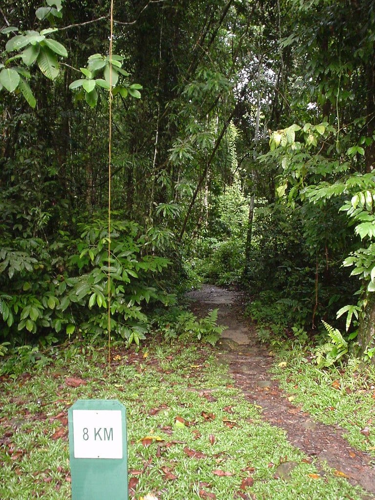 Gambar 2 Mulu Pinnacles and Camp 5