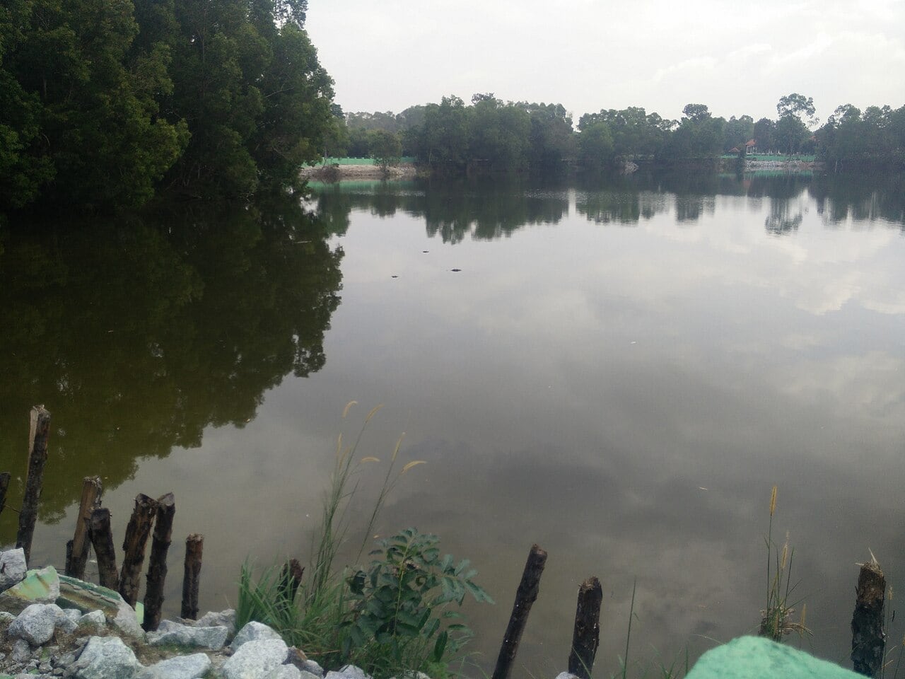 Gambar 3 Paya Indah Wetlands Camp