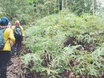 Pelepah Kiri @ Bukit Sisek — foto sebenar berbeza 2