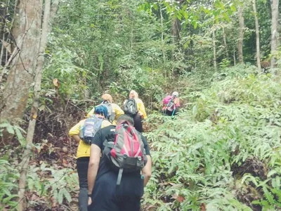 Pelepah Kiri @ Bukit Sisek — foto sebenar berbeza 3