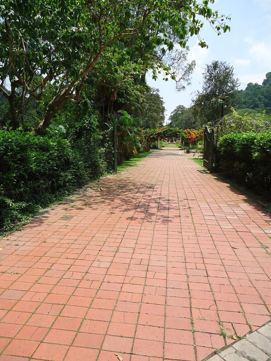 Gambar Penang Botanic Gardens
