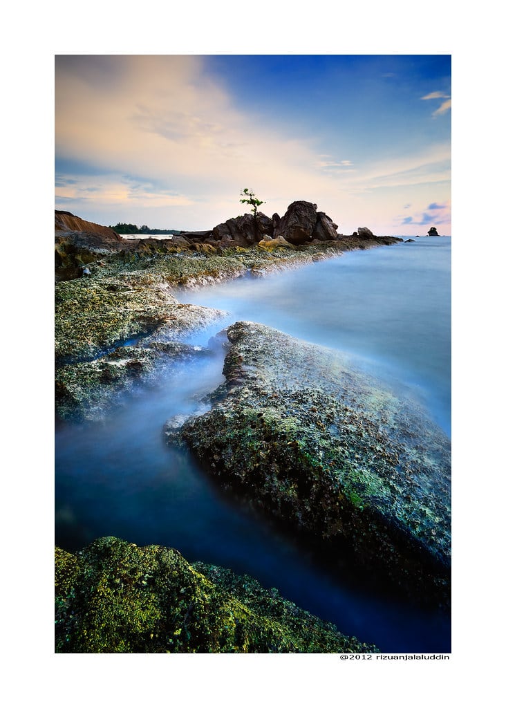 Gambar 2 Pohon Batu Beach