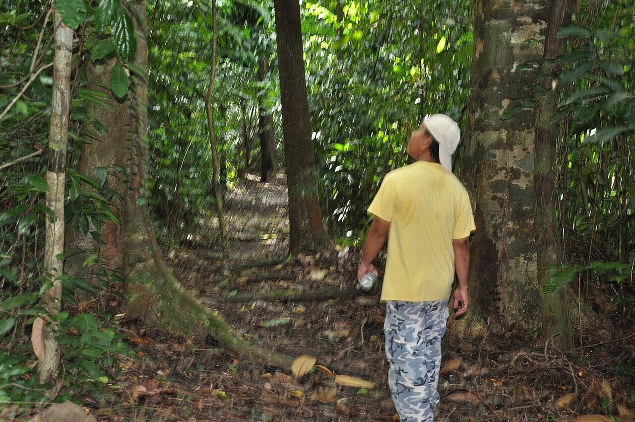 Gambar Pulau Tiga Park